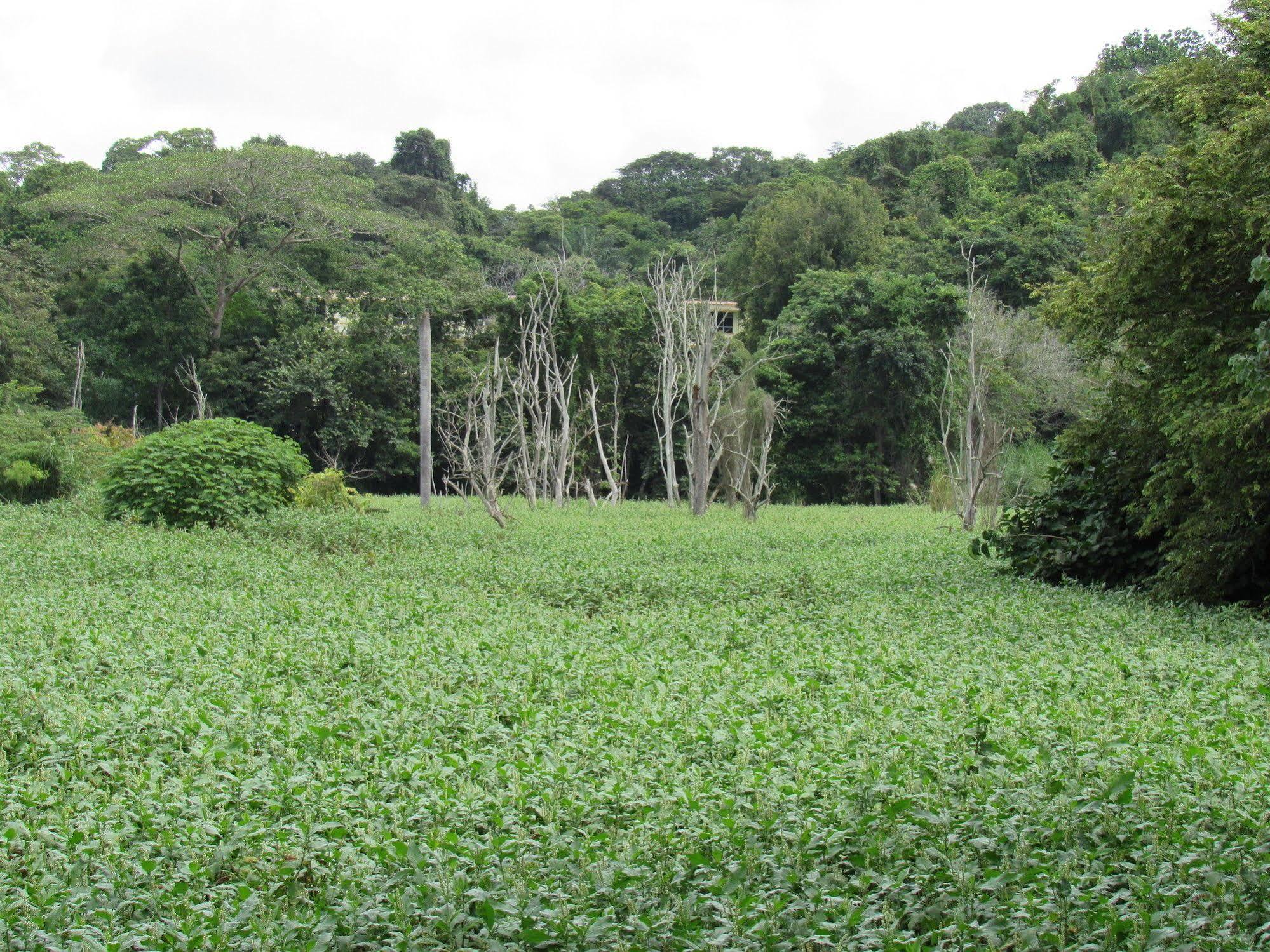 Albrook Inn Panama-Stad Buitenkant foto